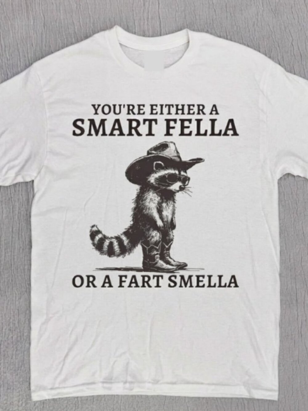 Smart Fella Raccoon 90s T-Shirt